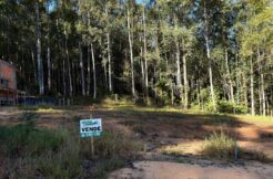 Lote Urbano – Cocal do Sul